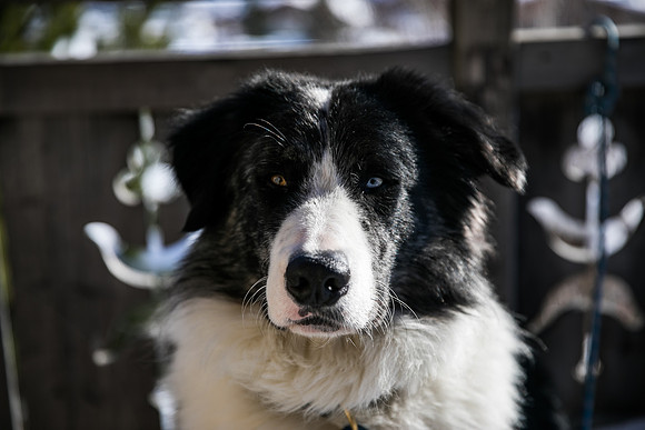 20190119_Bapteme-8791