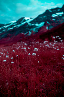 20230701_Infra Tunheimsfjora and Oye-7585-Enhanced-NR