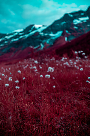 20230701_Infra Tunheimsfjora and Oye-7585-Enhanced-NR