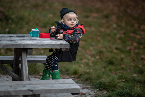 20241108_POD Picnic-6710-2-Edit