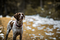 20191114_Joel&Lauren-9679