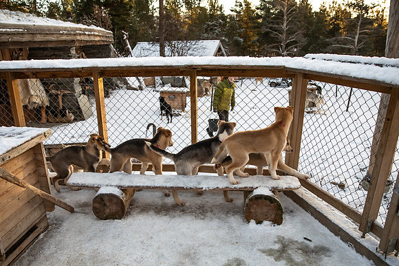 20211107_Engholm Husky-7449-2