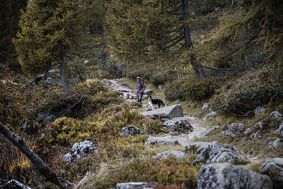 20211003_Walkies-0663