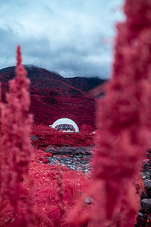 20240729_Isbreen Infra-8951