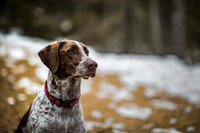 20191114_Joel&Lauren-9685