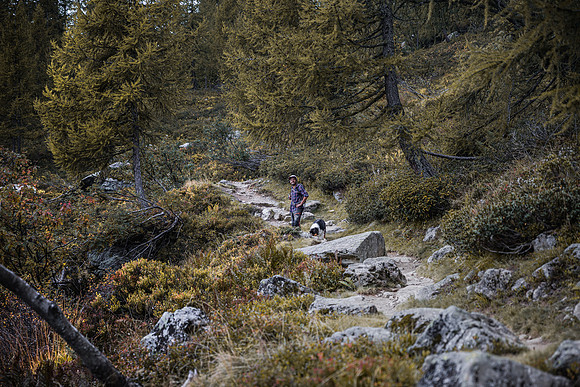20211003_Walkies-0661
