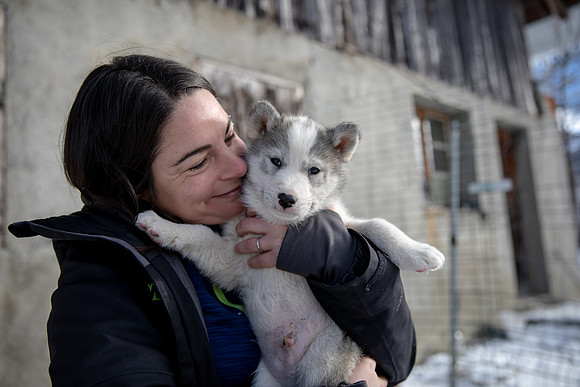 20181220_huskypuppies-9333