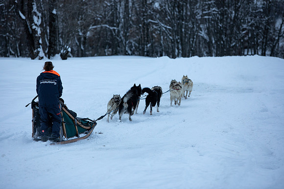 Dog Sledding Four Seasons Megeve