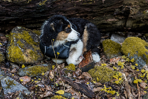 20210515_Julien Family-0102