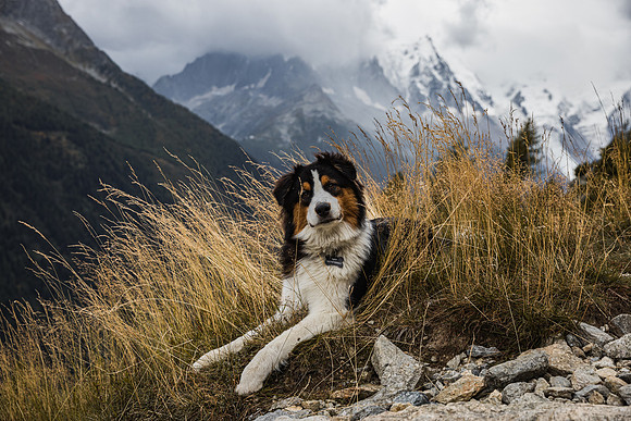 20211003_Walkies-0712
