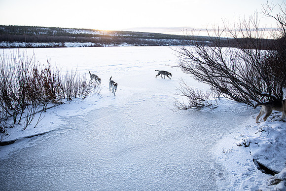 20211107_Engholm Husky-7740