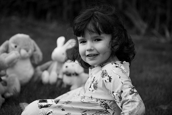 Teddy Bears Picnic