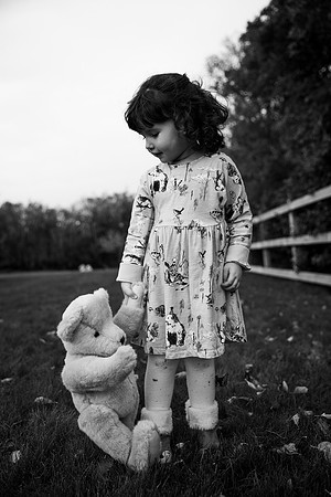 Teddy Bears Picnic
