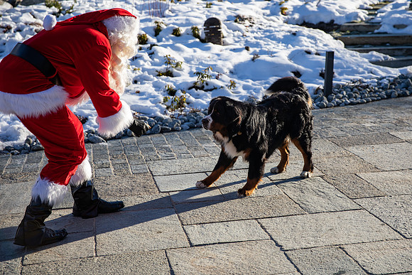 20181225_CHRISTMAS DAY-0064