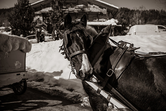 20190119_Bapteme-8597-2
