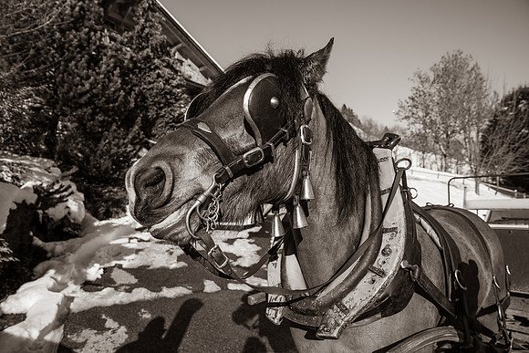 20190119_Bapteme-8613-2