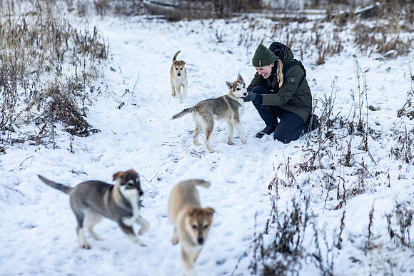20211107_Engholm Husky-7241