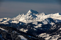 Todays Landscapes