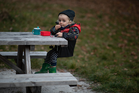 20241108_POD Picnic-6709-2-low-res-2019-2