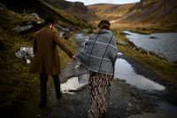 Wild Love