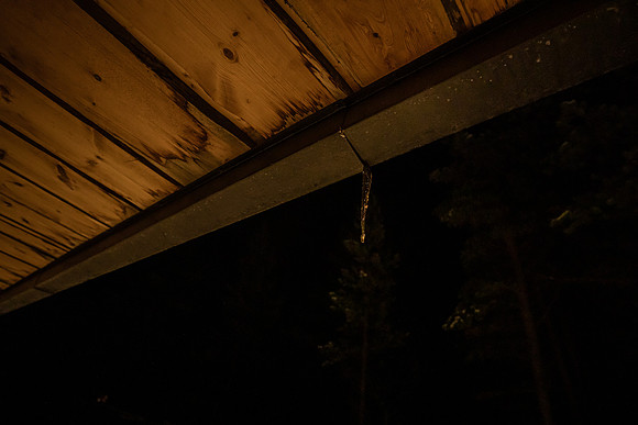 20211106_Engholm Husky-7373