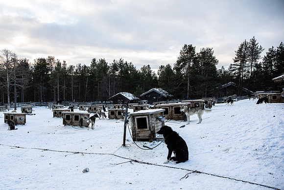 20211107_Engholm Husky-7531-2