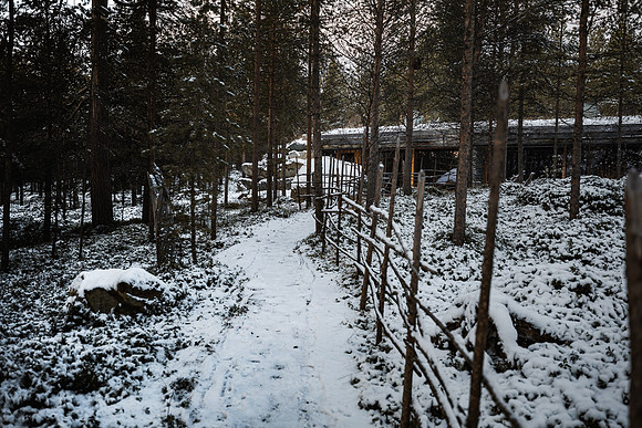 20211107_Engholm Husky-7426-2
