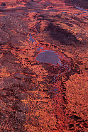 20250709_Infra Muller Iceland Wed 9th-9634-2