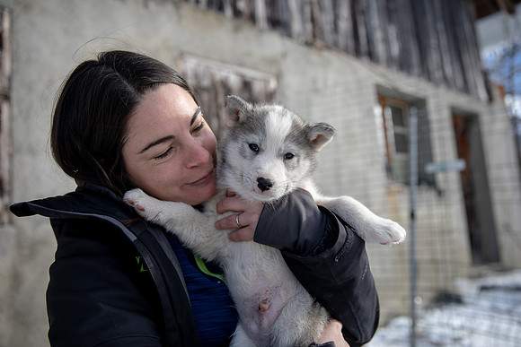 20181220_huskypuppies-9332