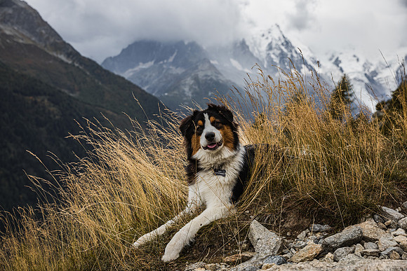 20211003_Walkies-0713