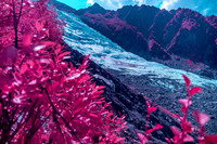 20210820_Infrared Boisson-4349