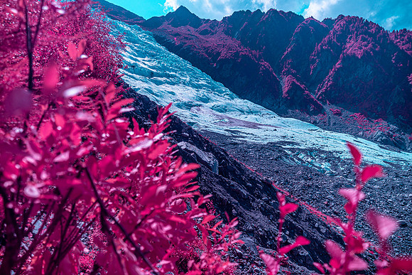 20210820_Infrared Boisson-4349