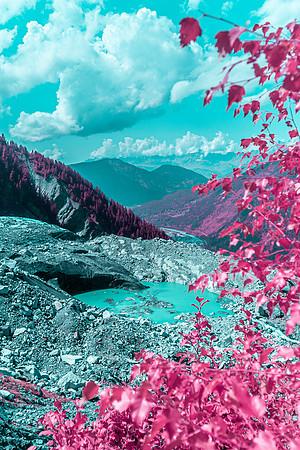 20210820_Infrared Boisson-4363