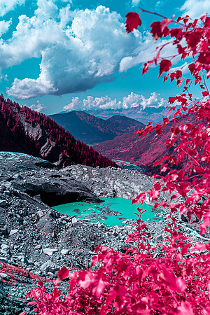 20210820_Infrared Boisson-4363-2