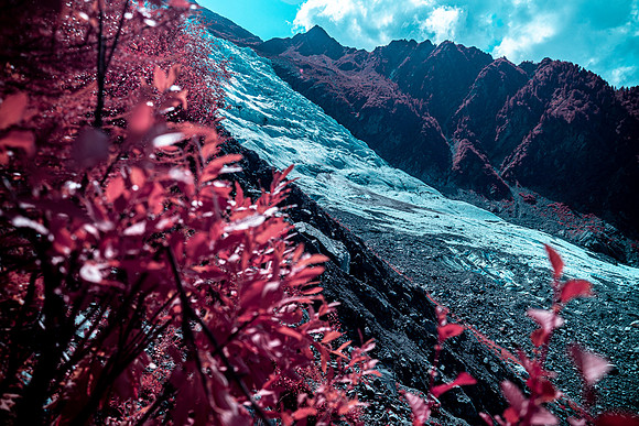 20210820_Infrared Boisson-4348