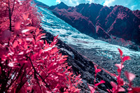 20210820_Infrared Boisson-4349-2