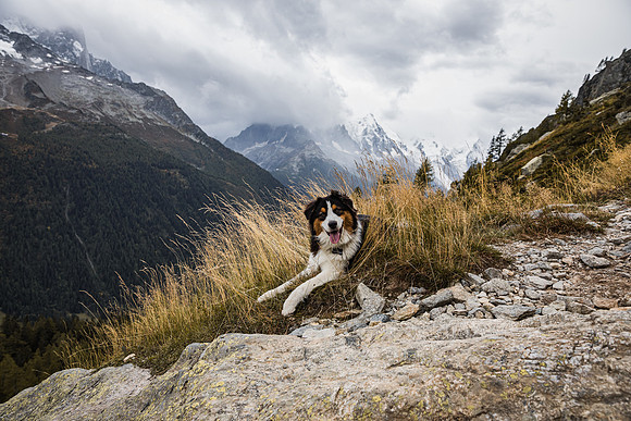 20211003_Walkies-0709