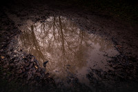 20201206_Gruffolo-8042