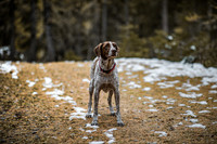 20191114_Joel&Lauren-9684