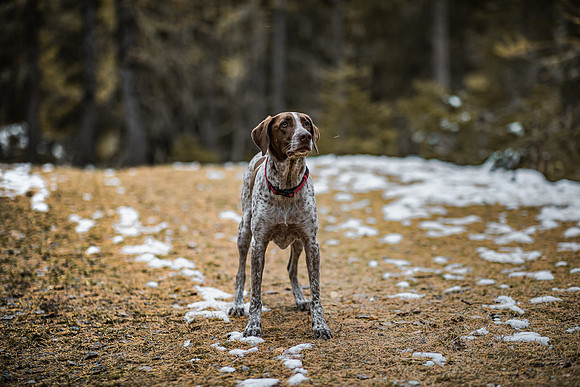20191114_Joel&Lauren-9684