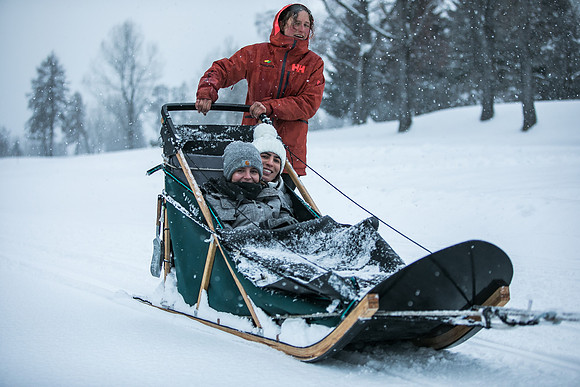 Dog Sledding Four Seasons Megeve