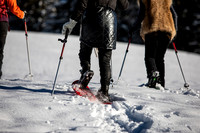 Snowshoe Four Seasons Megeve