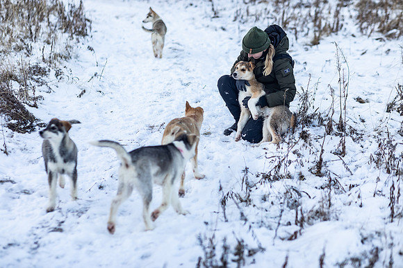 20211107_Engholm Husky-7245