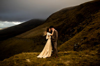 Wild Love