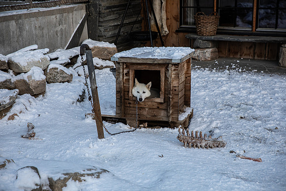 20211107_Engholm Husky-7533-2