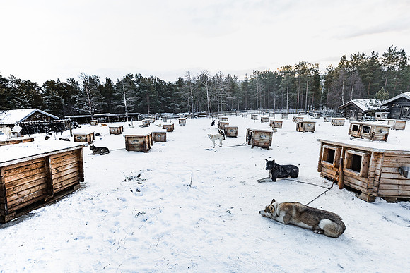 20211107_Engholm Husky-7432-2