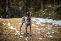 20191114_Joel&Lauren-9682