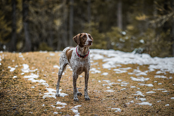 20191114_Joel&Lauren-9682