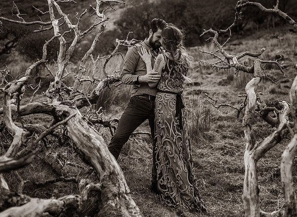 Wild Love