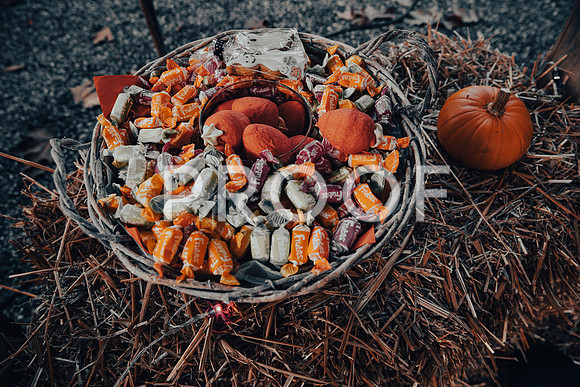20211031_Ojjeh Halloween 21-1929